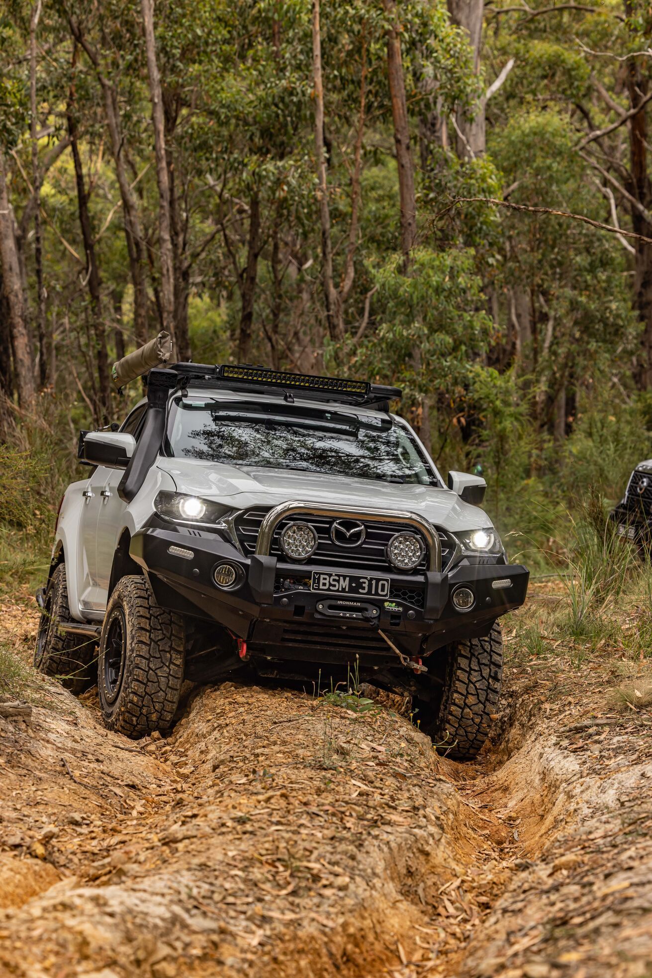 mazda bt50 proguard ironman