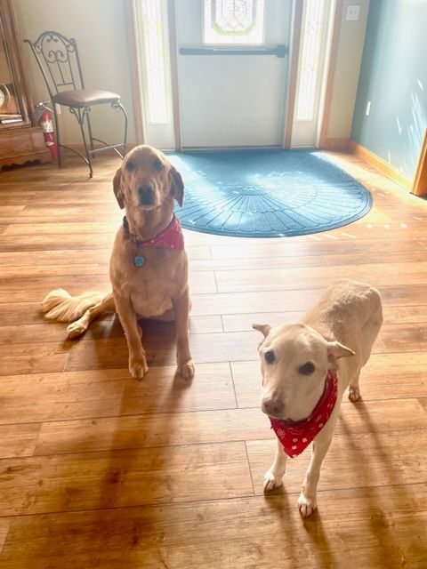 Kimber & Abigail
