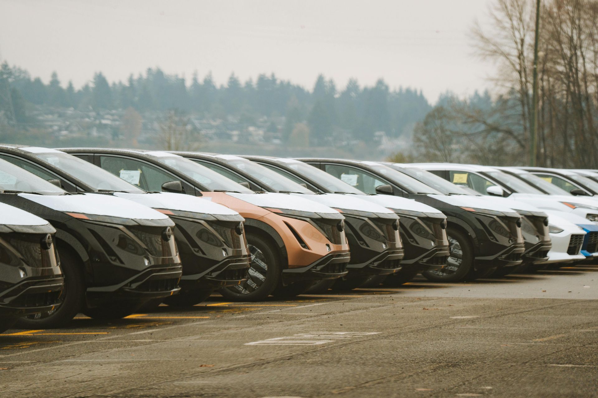 A row of electric cars are parked in a parking lot.