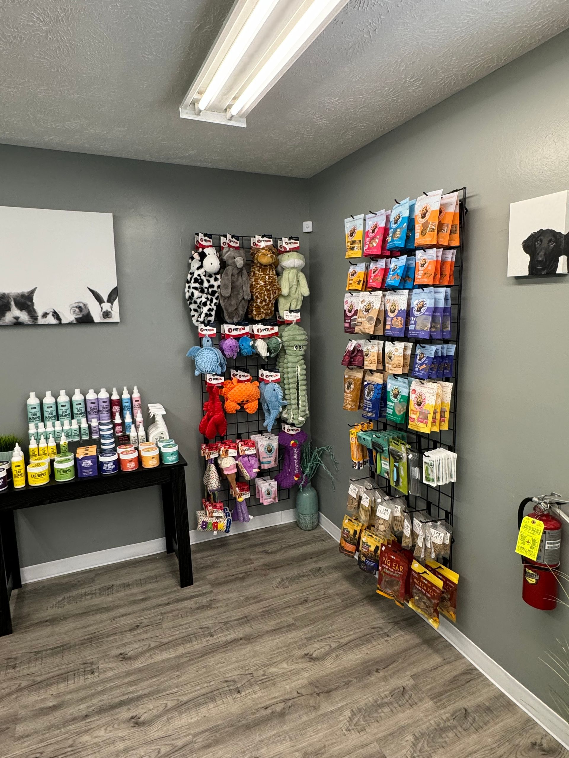 A room filled with lots of dog treats and toys.