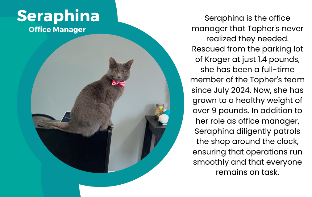A cat is sitting on top of a desk in an office.