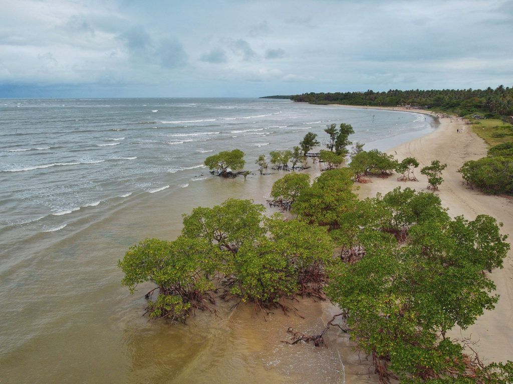 Uma vista aérea de uma praia com árvores e um corpo de água. - Pousada Pasargada