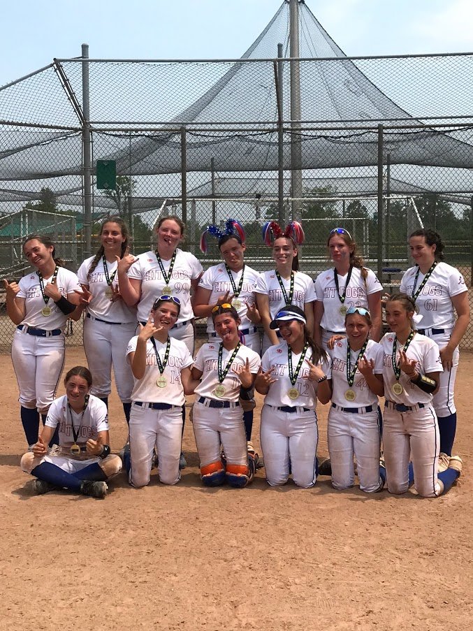Team 14u Motor City Hit Dogs Softball