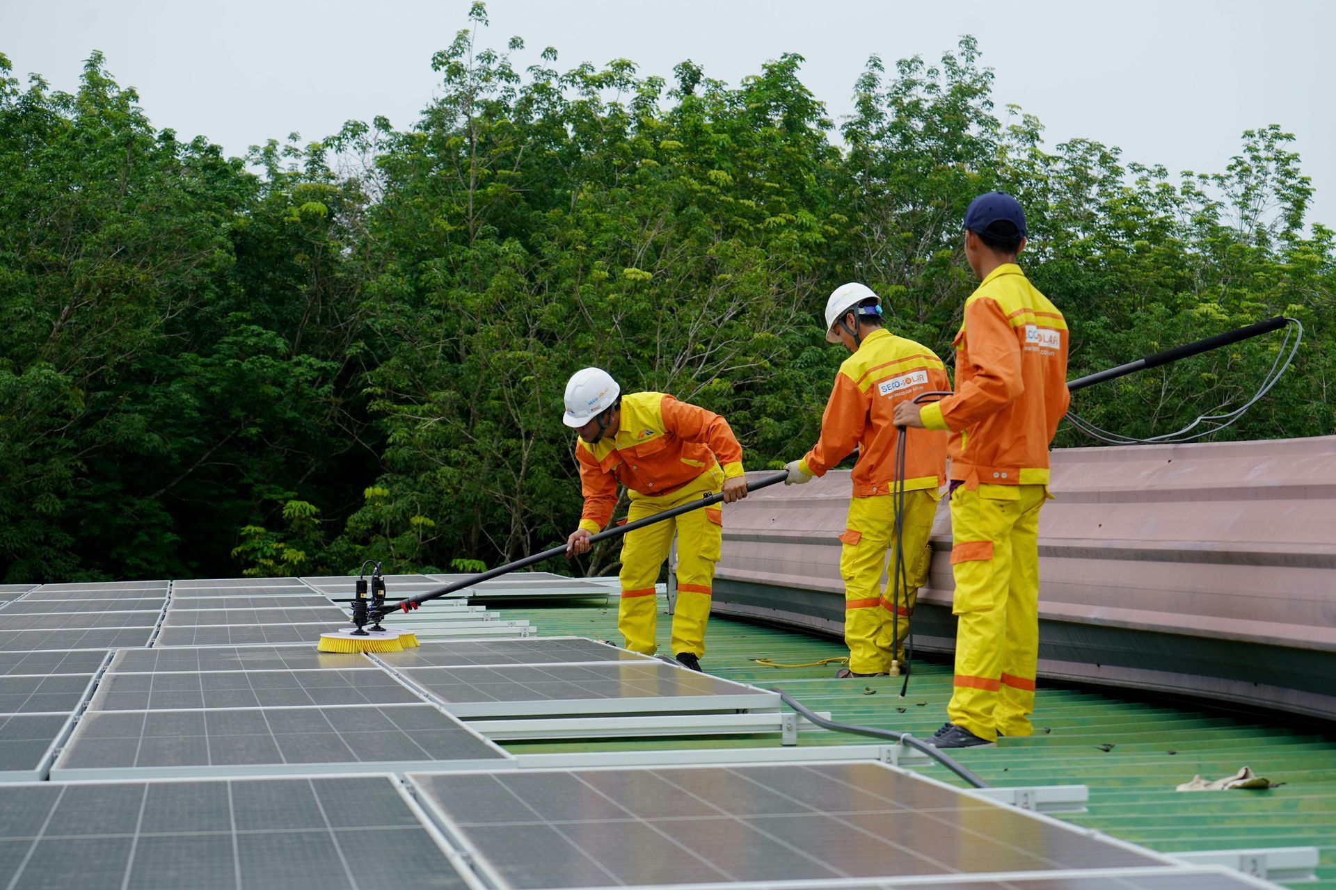 Three workers in orange suits cleaning solar panels on a rooftop with long-handled brushes.