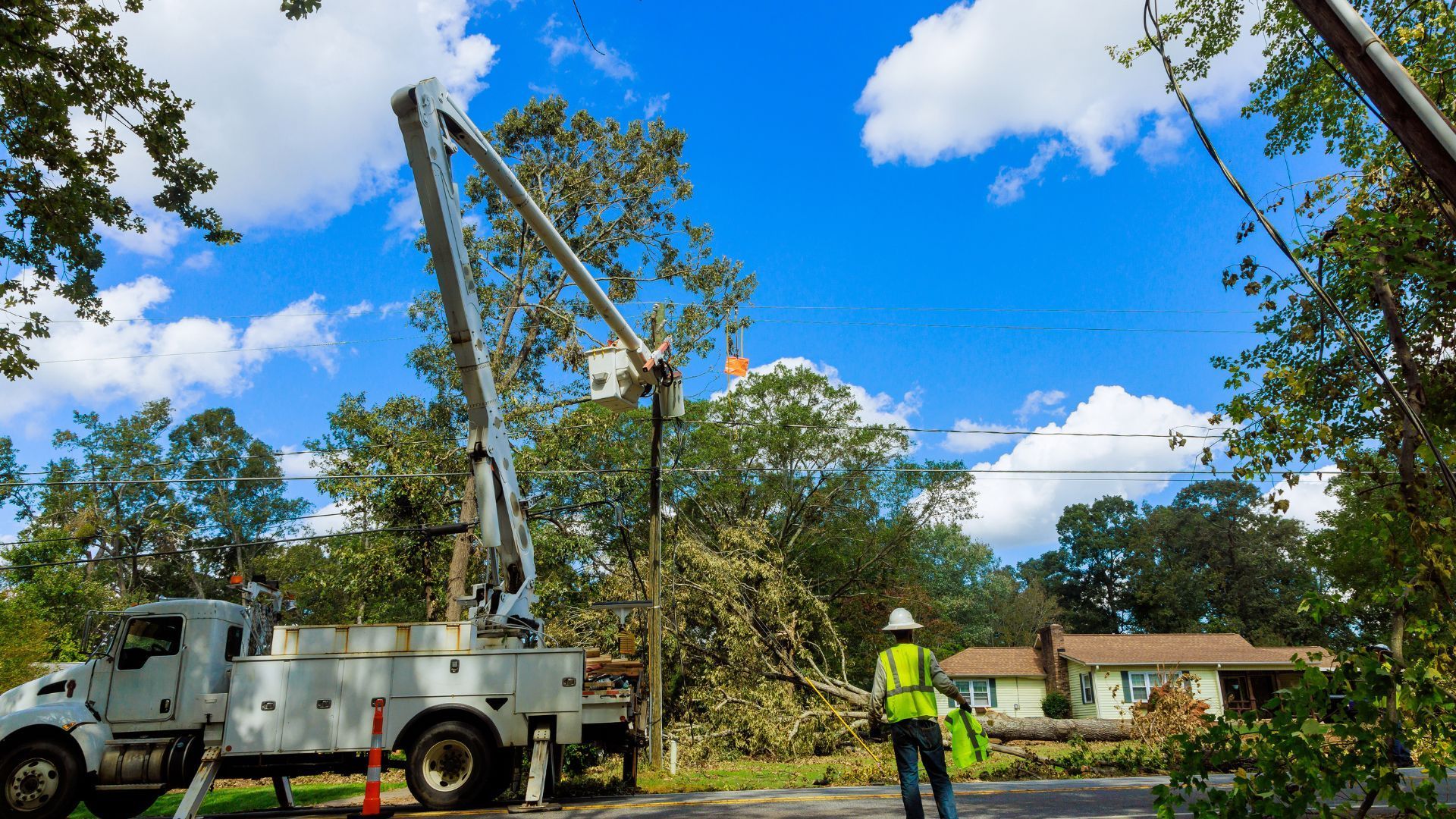 Utility workers trimming a tree near power lines. Bucket truck and worker in a high-vis vest in a residential setting.