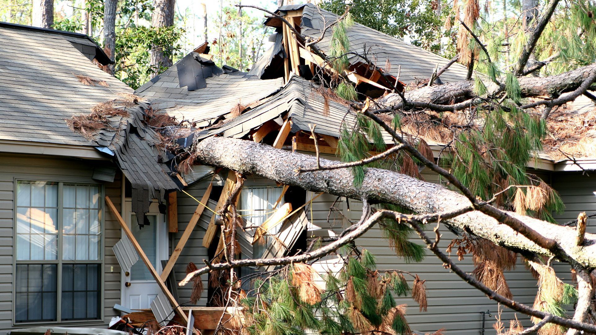 Tree fell on a house, damaging the roof and walls. Brown tree limbs rest on the damaged structure.