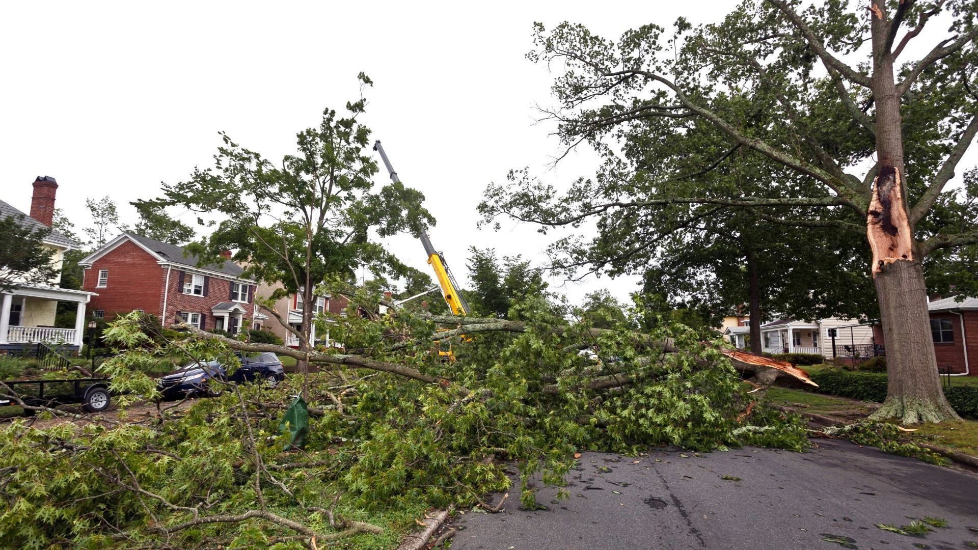 Fallen tree blocking a street after a storm; a crane and workers are clearing debris near houses.