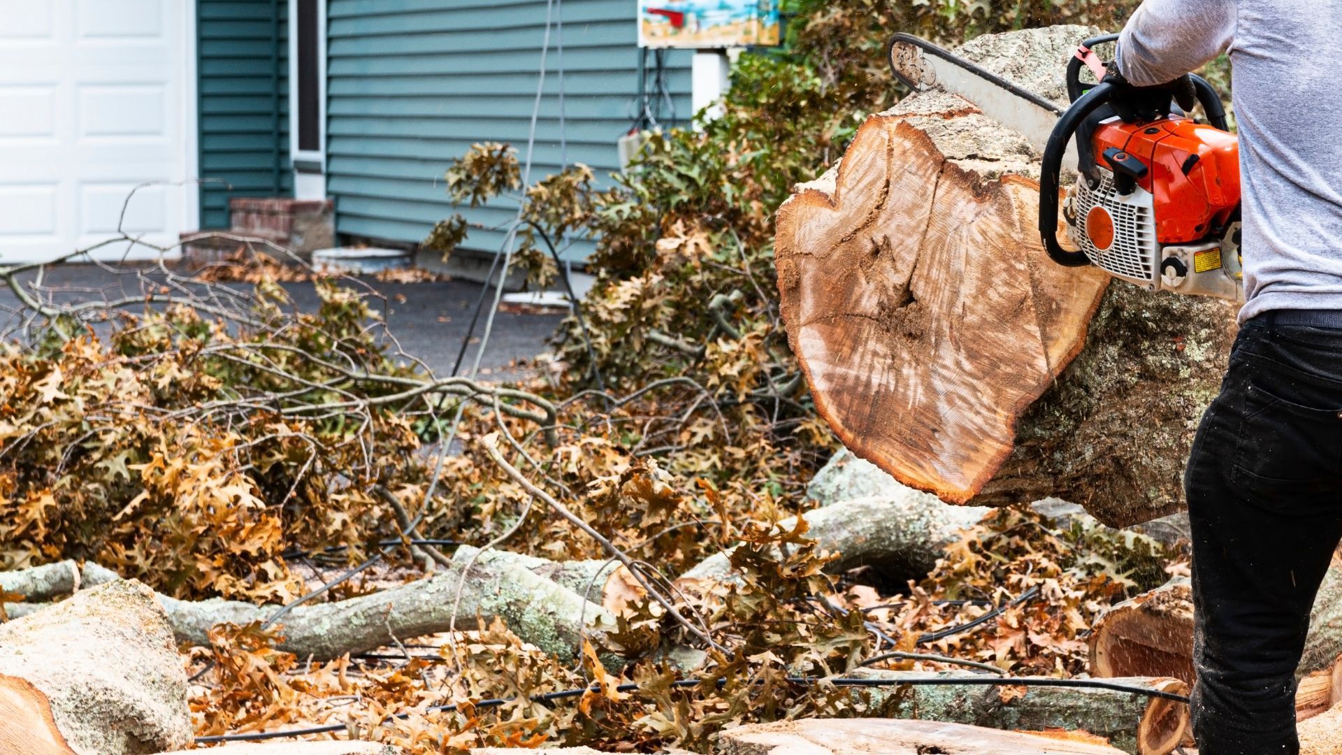 Person using chainsaw to cut a large tree trunk, debris scattered on ground near house.