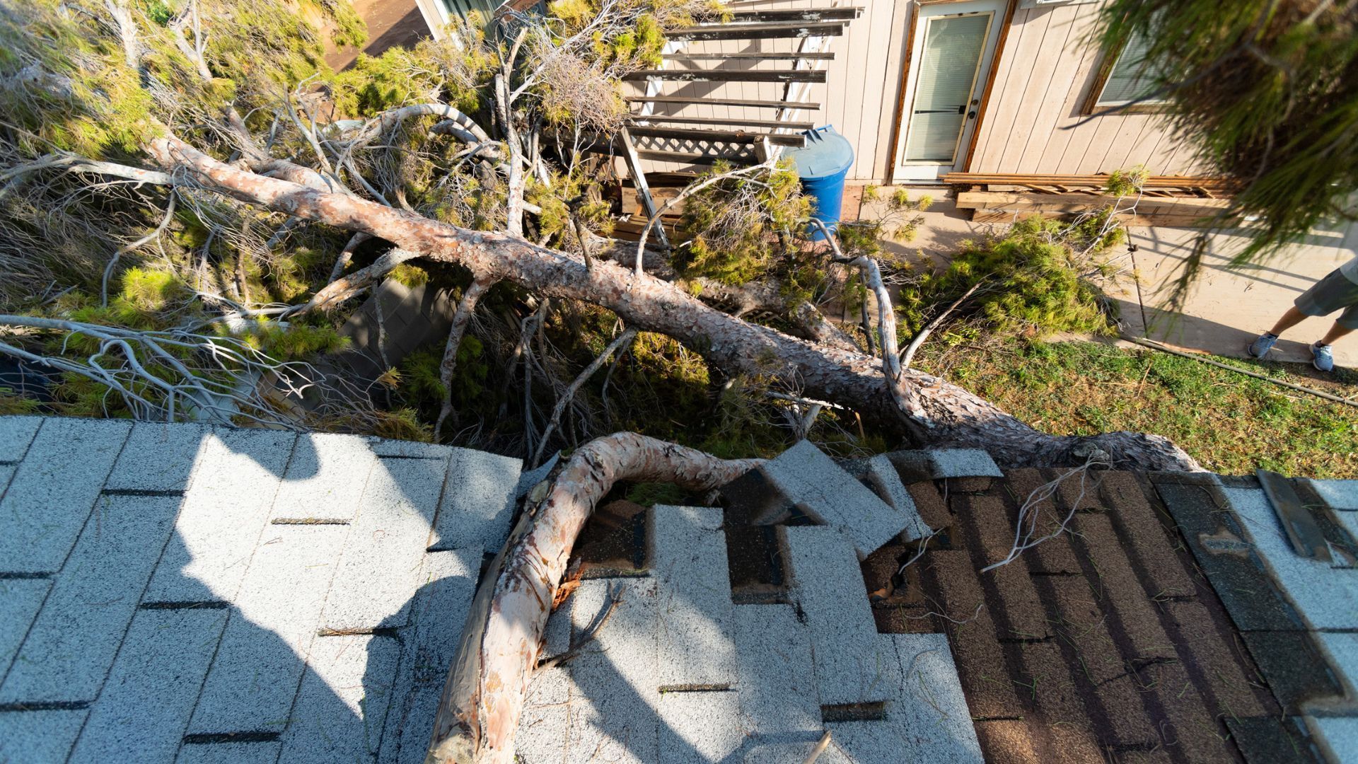 Tree fallen on a roof, causing damage. A person is near the building.