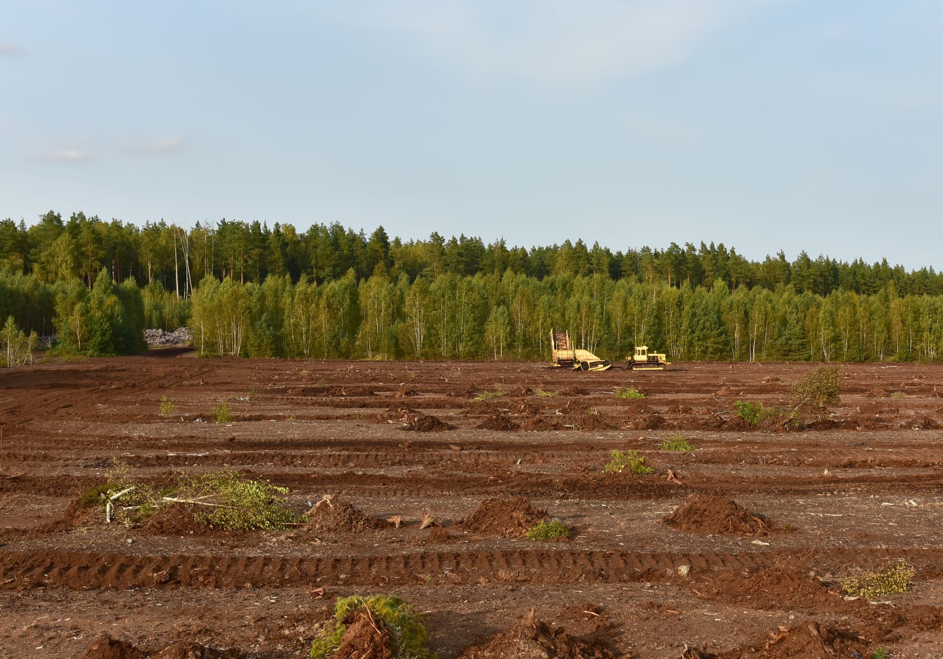 Brown field with rows and machinery, forest background under a blue sky.