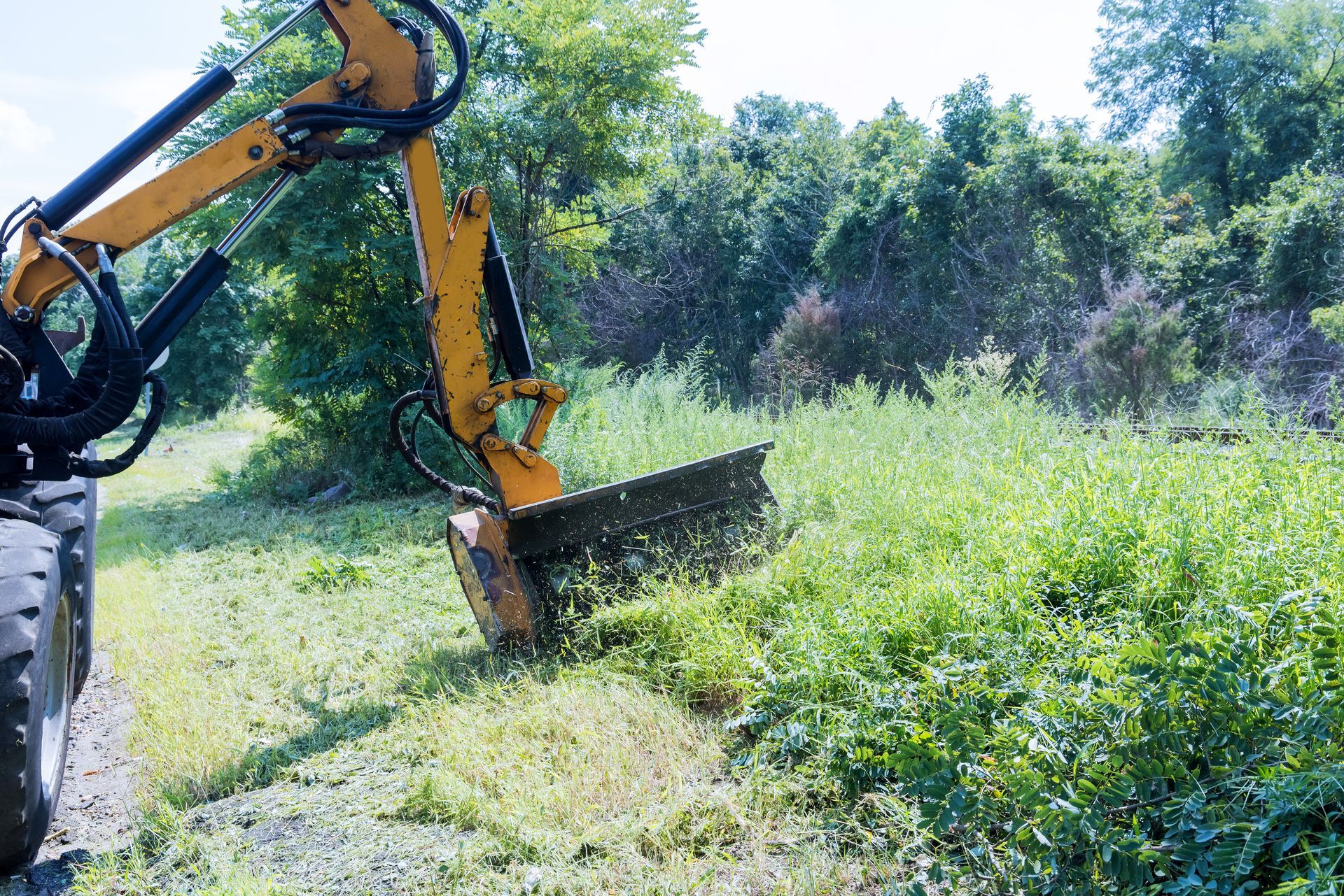Yellow machine cutting tall green weeds in a field near a tree line.