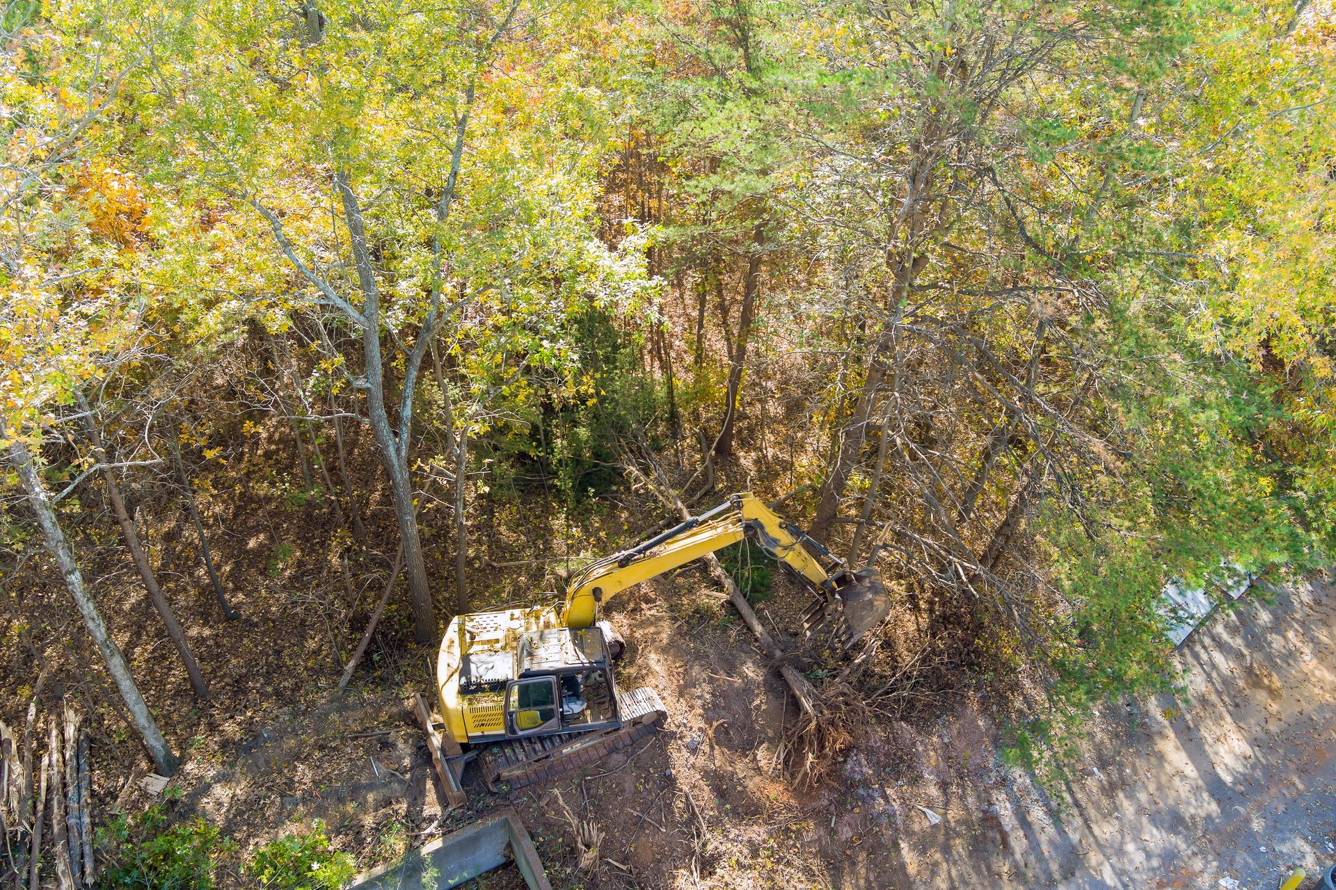 Yellow excavator clearing brush and small trees.