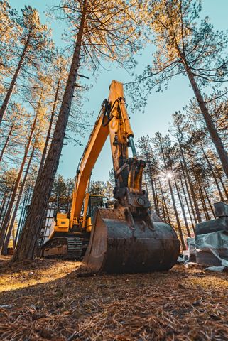 Yellow excavator in a forest clearing, sun shining through trees.
