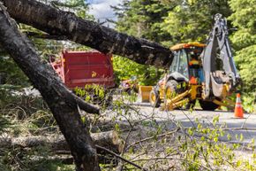 A backhoe loader clears a fallen tree from a road, placing it in a red dump truck; orange traffic cone.