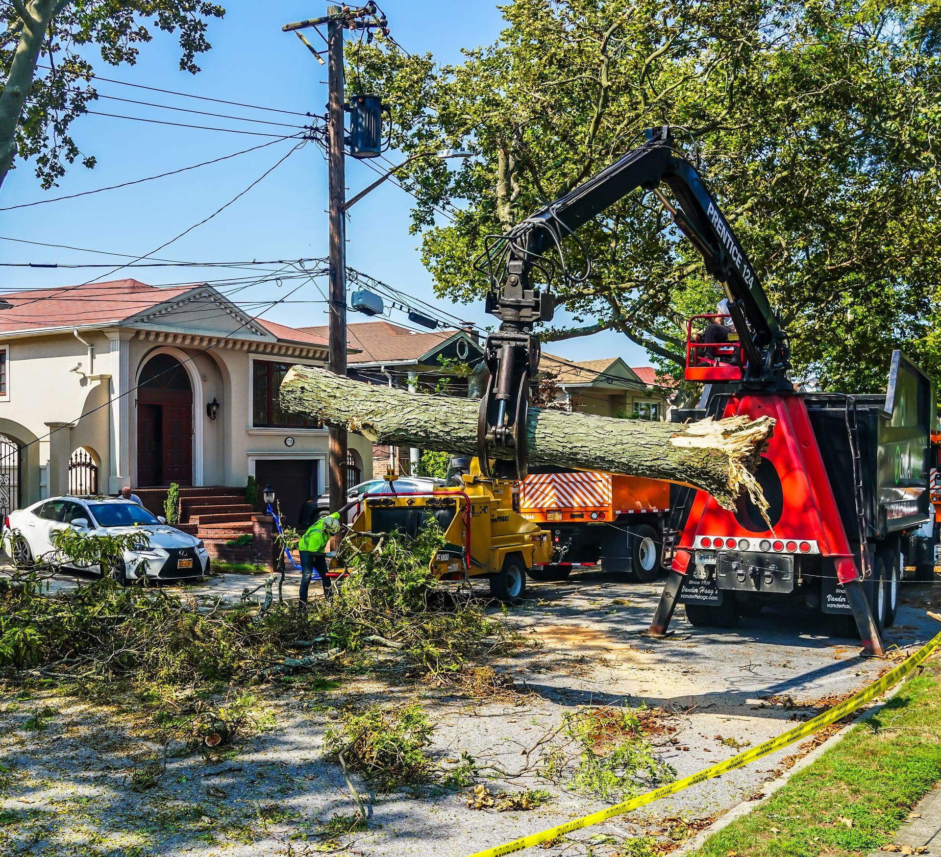 Tree branches being loaded into a wood chipper on a residential street. Yellow and red equipment, utility pole, and workers.
