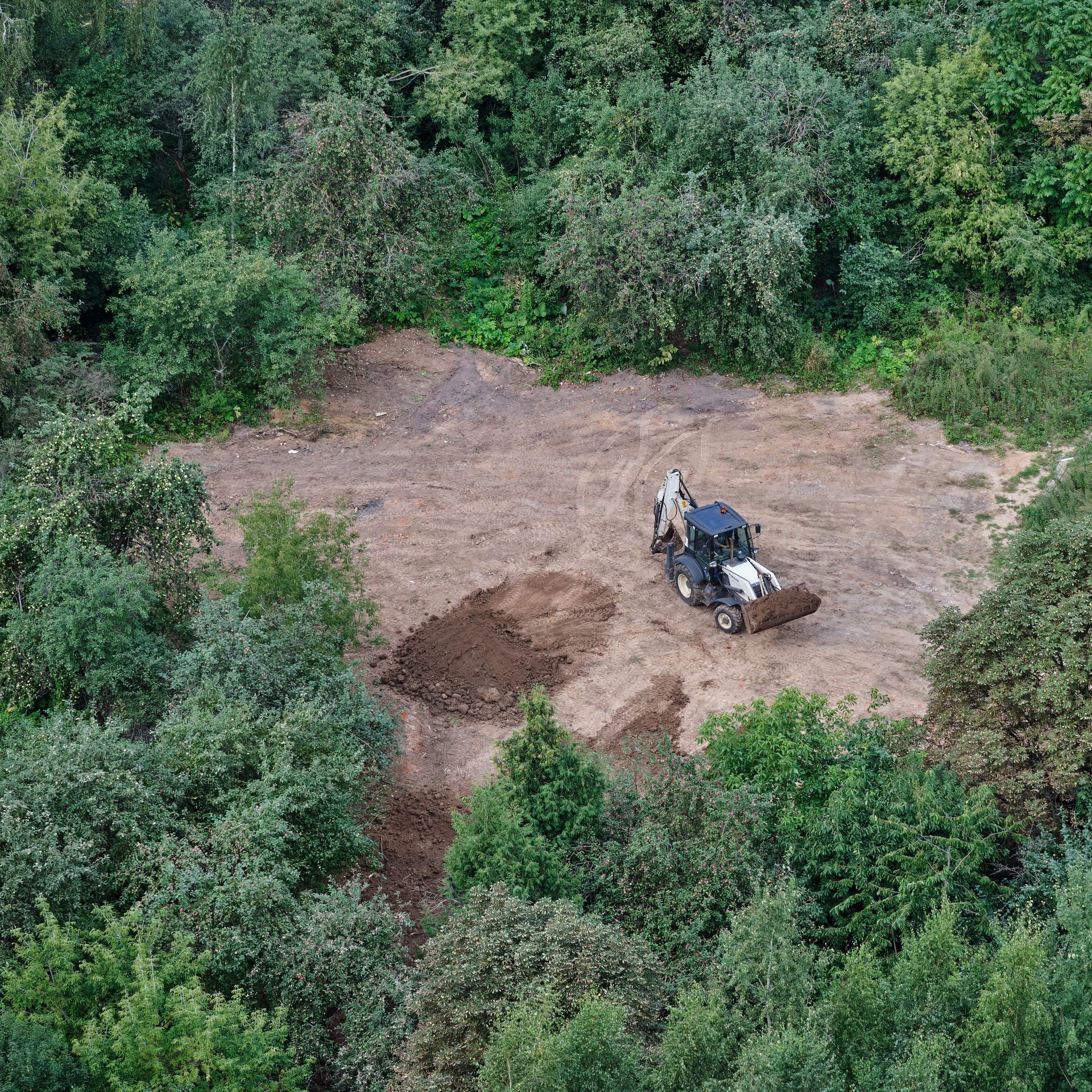 Backhoe clears dirt in a clearing surrounded by green trees in a forest.