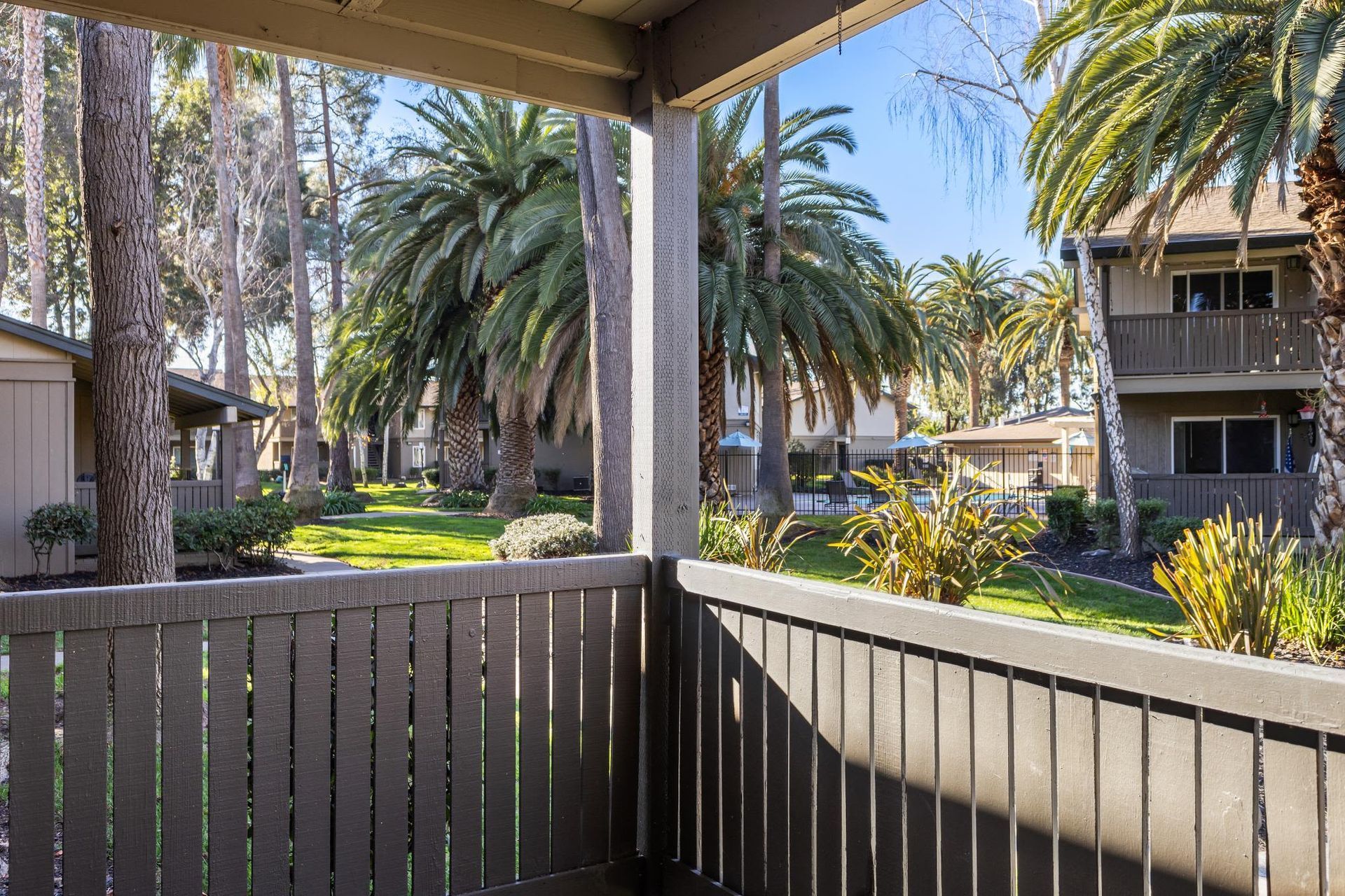 Balcony viewpoint overlooking a palm-tree courtyard at an apartment community at Villa Palms Apartments.