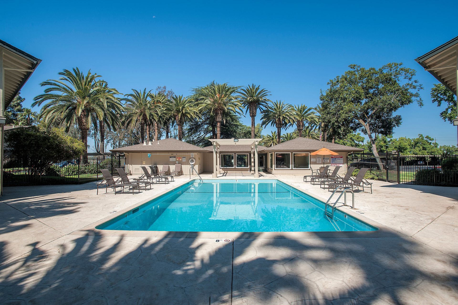 Outdoor apartment pool area with lounge chairs, palm trees, and a clubhouse at Villa Palms Apartments.