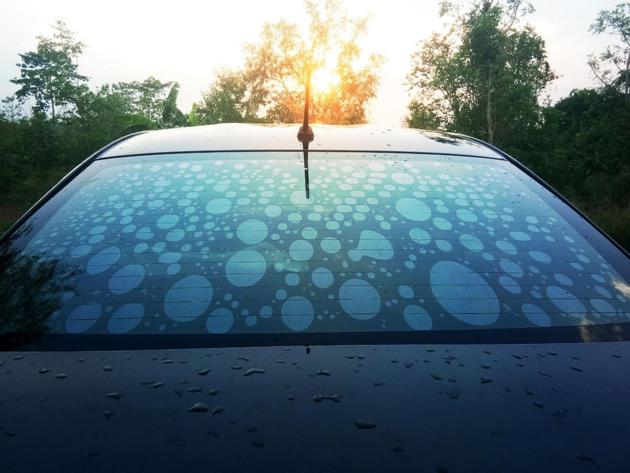window tint replacement