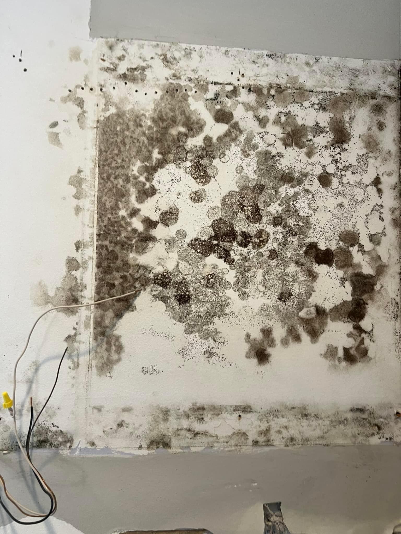A white wall with a lot of black mold on it.