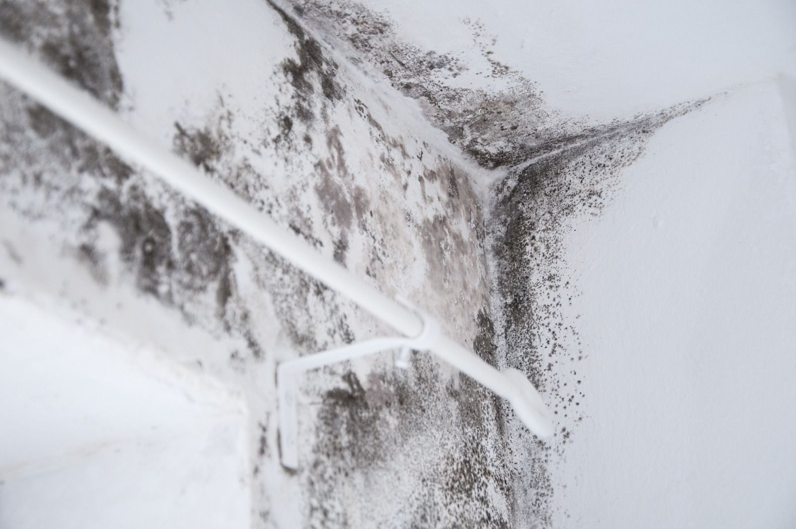 A close up of a white wall with black mold growing on it.