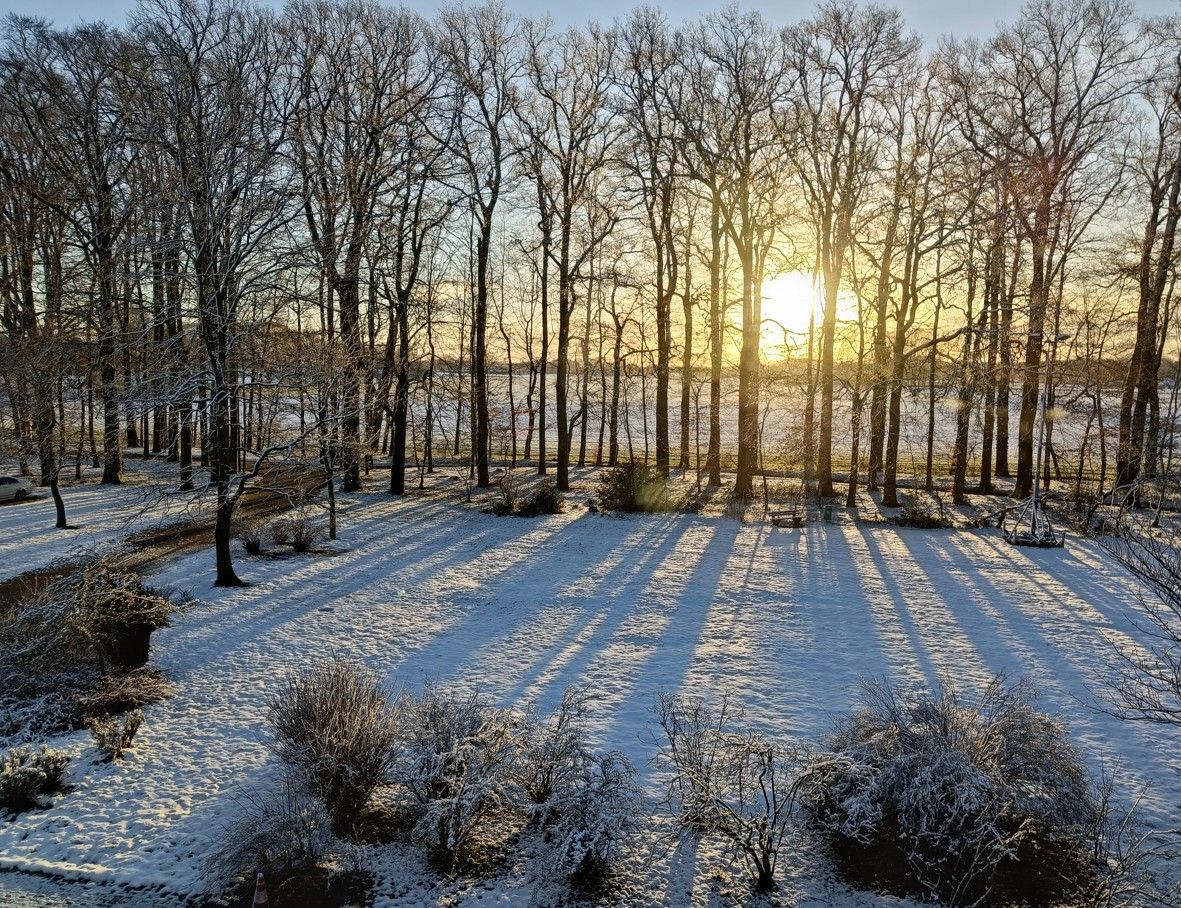 Een met sneeuw bedekt landschap met kale bomen die lange schaduwen werpen richting de ondergaande zon.