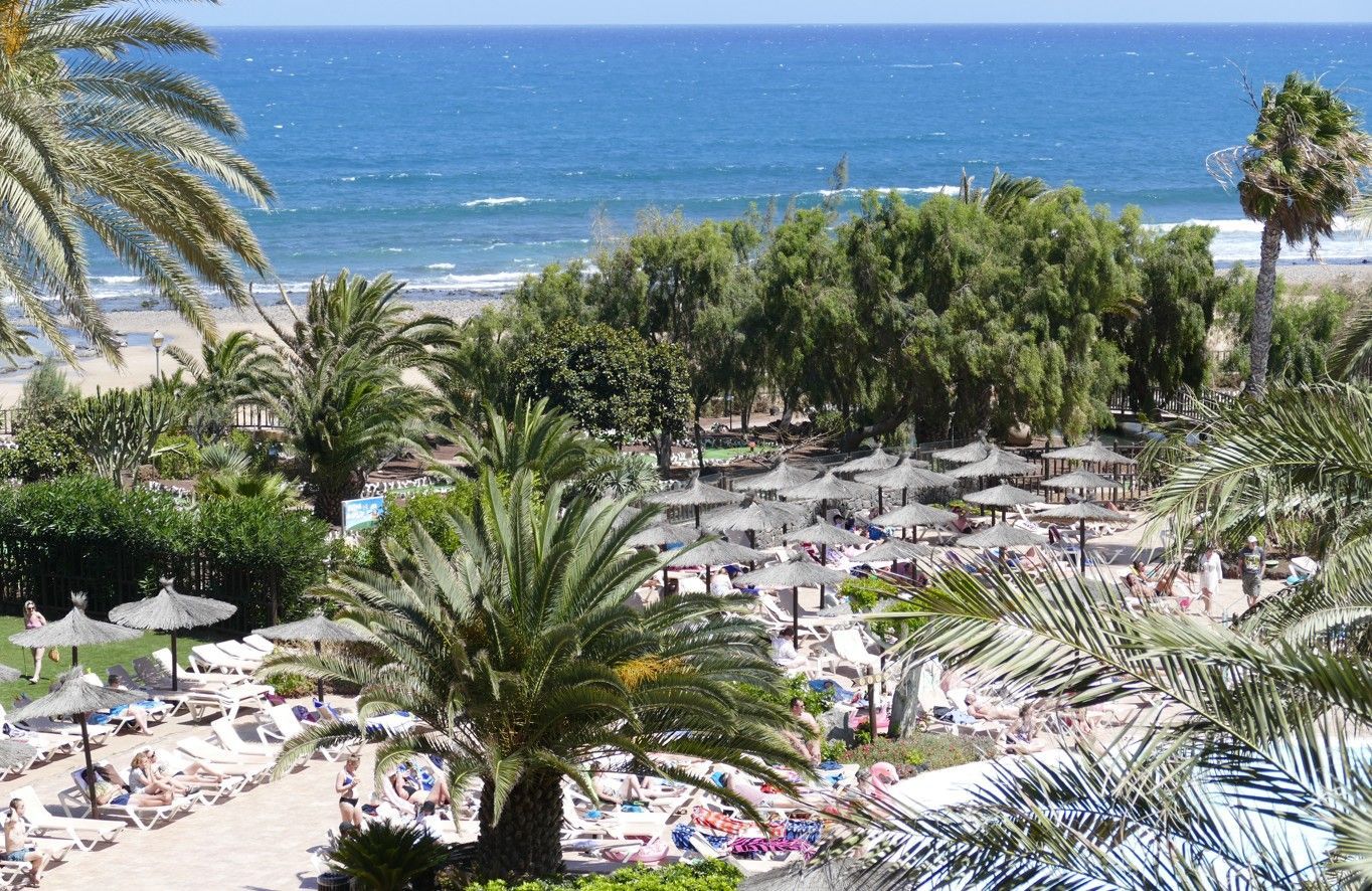 Strandtafereel met palmbomen, parasols en mensen die ontspannen aan de oceaan.