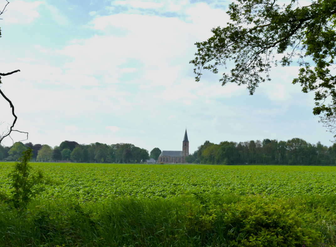 Groen veld met in de verte een kerktoren onder een gedeeltelijk bewolkte hemel.