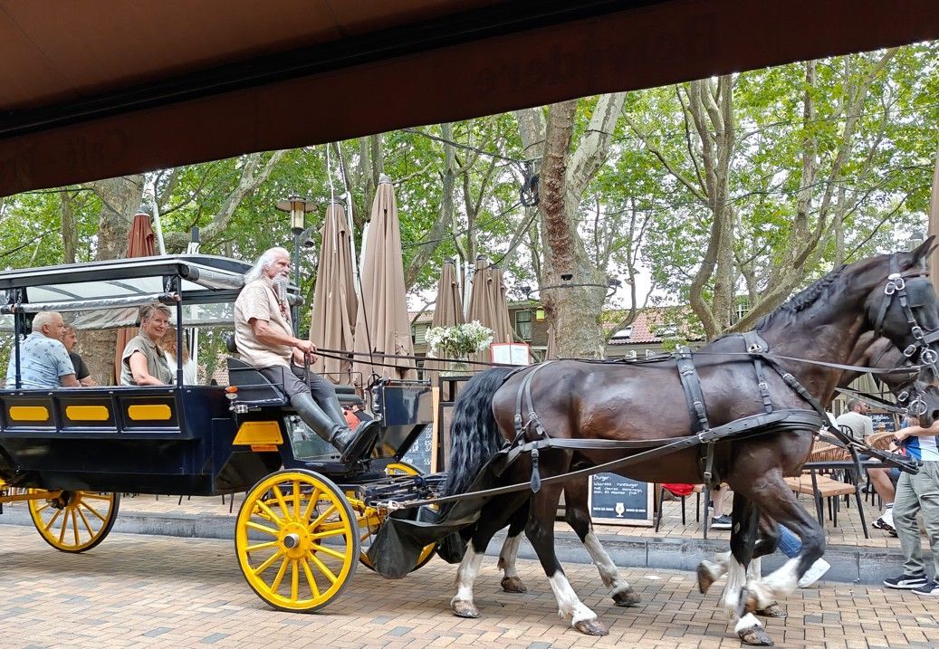 Een zwarte paardenkoets met gele wielen en twee paarden op een met bomen omzoomde straat.
