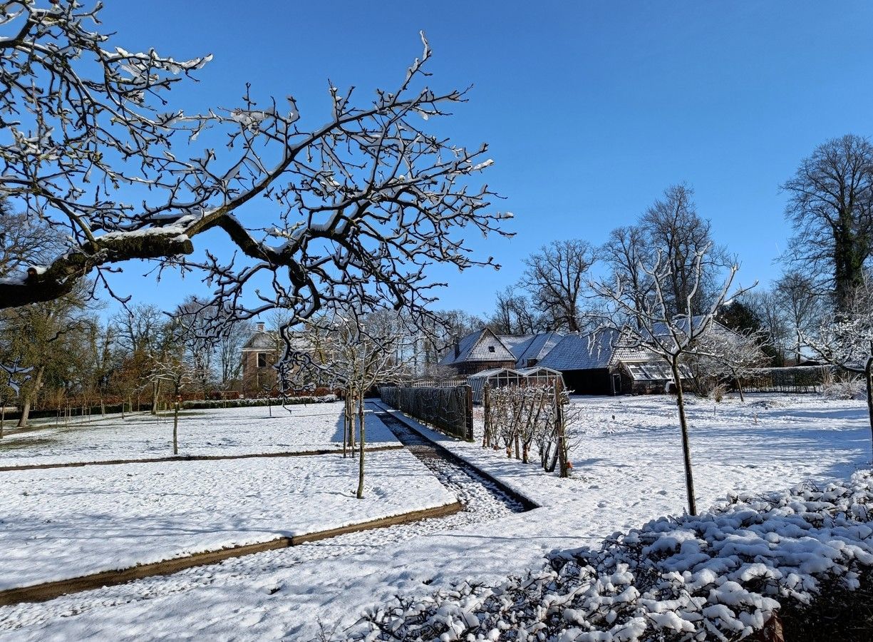 Een met sneeuw bedekte tuin met kale bomen, een pad en gebouwen tegen een helderblauwe hemel.