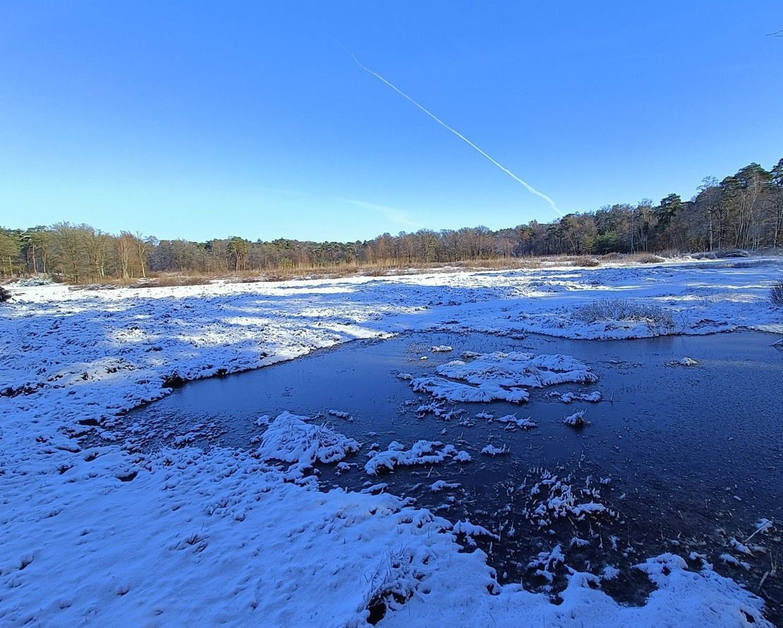 Besneeuwd landschap met waterplassen, bomen op de achtergrond en een helderblauwe lucht.