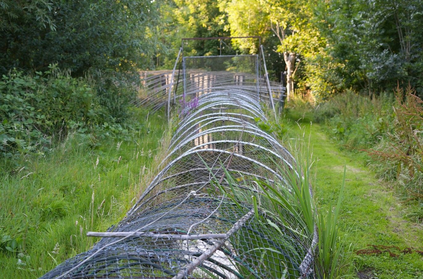 Draadhekwerk over een pad in een groen, bosrijk gebied.
