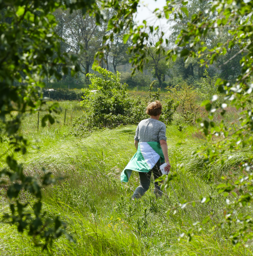 Een persoon loopt door een weelderig groen veld met bomen op de achtergrond.