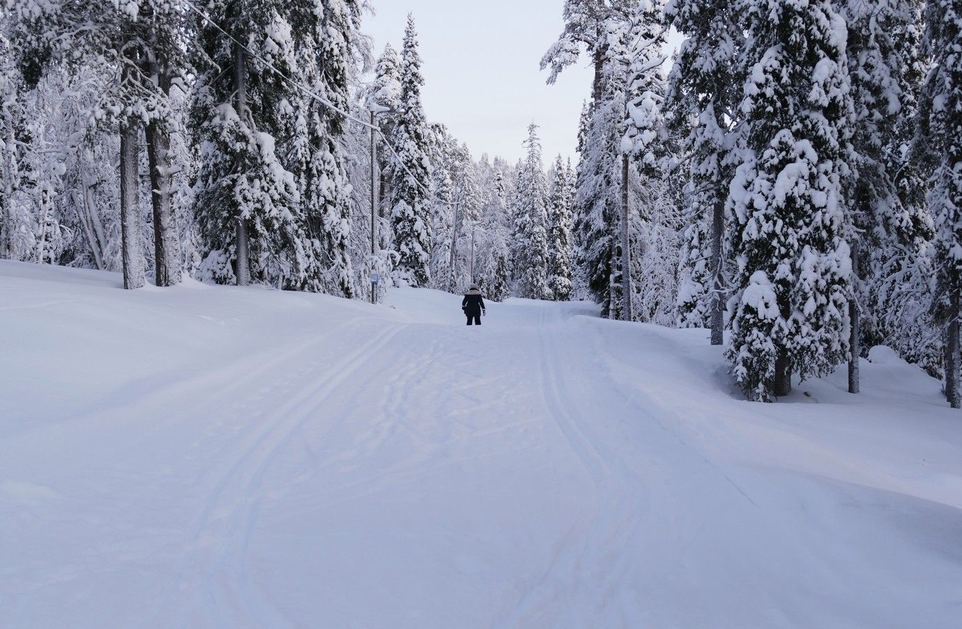 Besneeuwd bospad met een persoon die wegloopt. De bomen zijn bedekt met sneeuw.