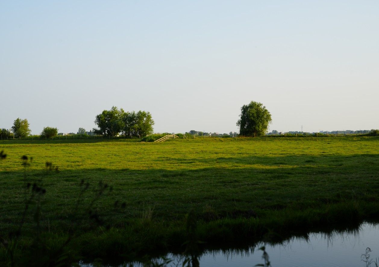 Groen veld met bomen onder een lichtblauwe hemel. Water op de voorgrond.