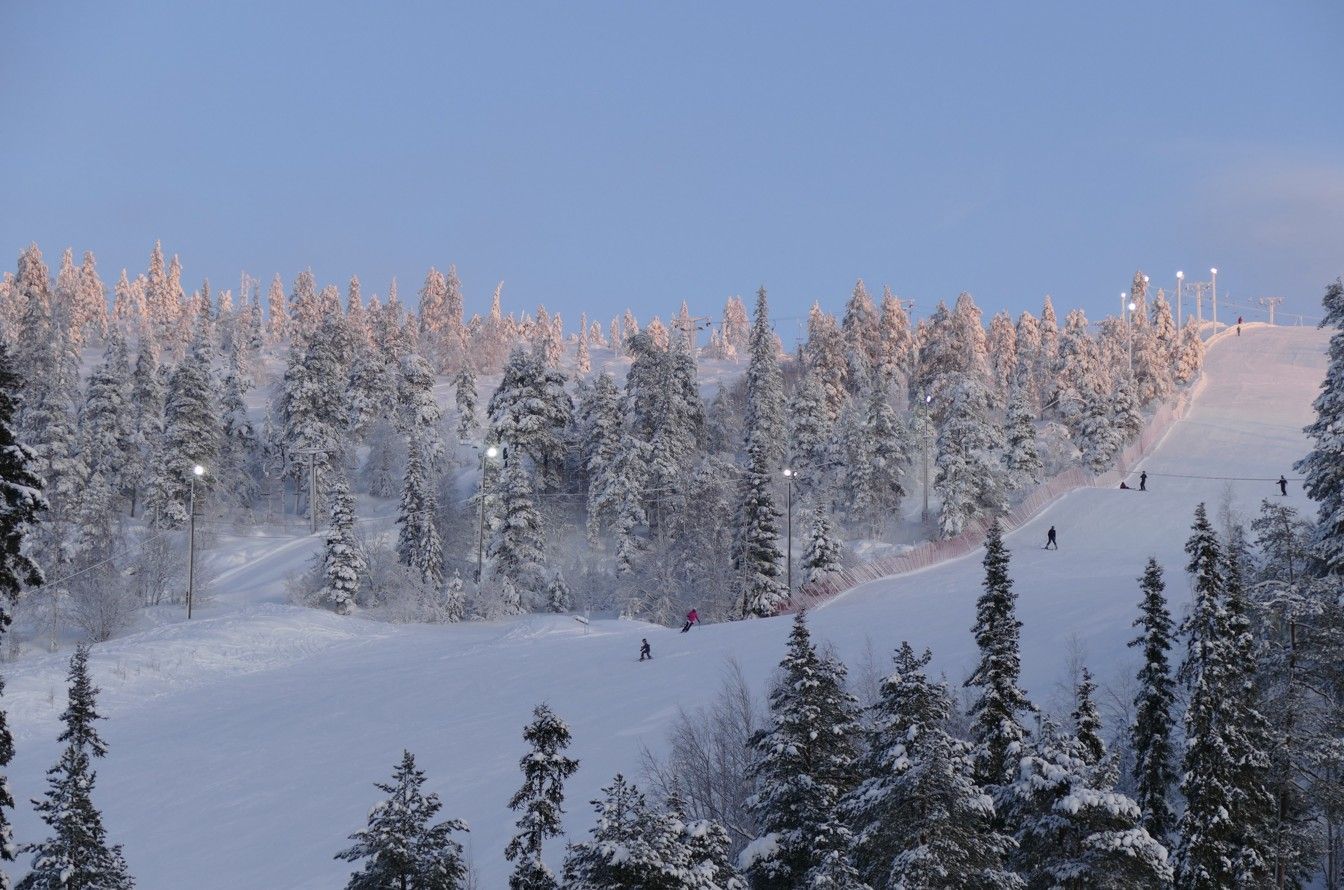 Besneeuwde skipiste met skiërs, omringd door met sneeuw bedekte dennenbomen, onder een blauwe hemel.