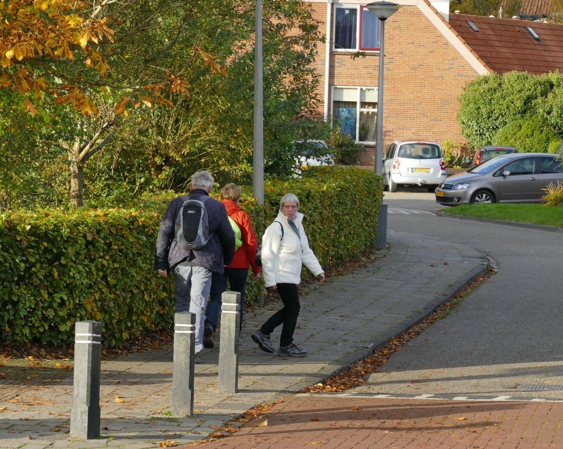 Mensen wandelen over een pad in een woonwijk, met herfstbladeren op de achtergrond.