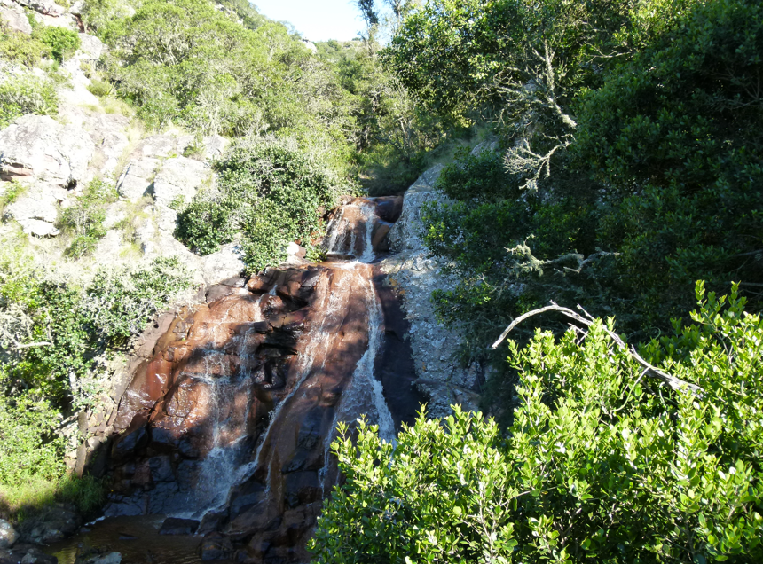 Een waterval die over roodachtige rotsen naar beneden stort, omgeven door groene bomen en bladeren in een bos.
