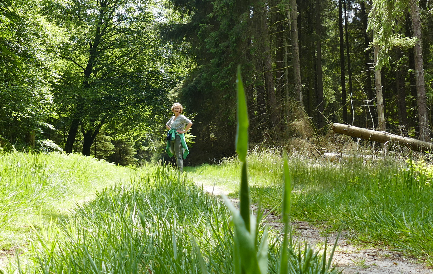 Een kind fietst op een zonnig bospad, omgeven door hoge groene bomen en gras.