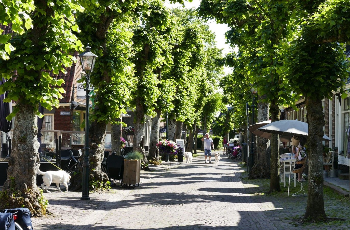 Een stenen straat met hoge bomen en mensen die wandelen. Een zonnige dag in een Europees stadje.
