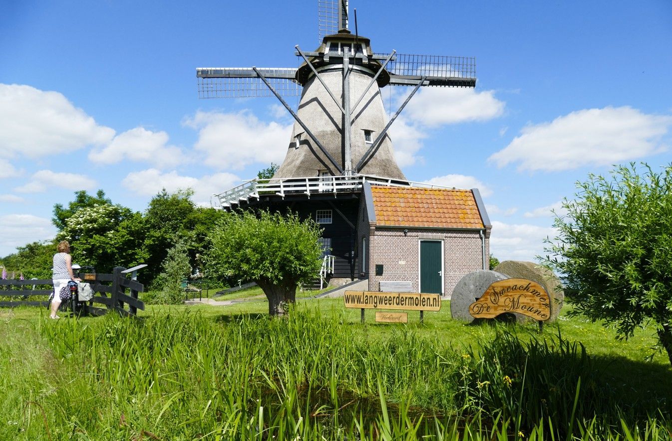 Windmolen met rieten dak en een klein bijgebouw, groen gras en een blauwe lucht.