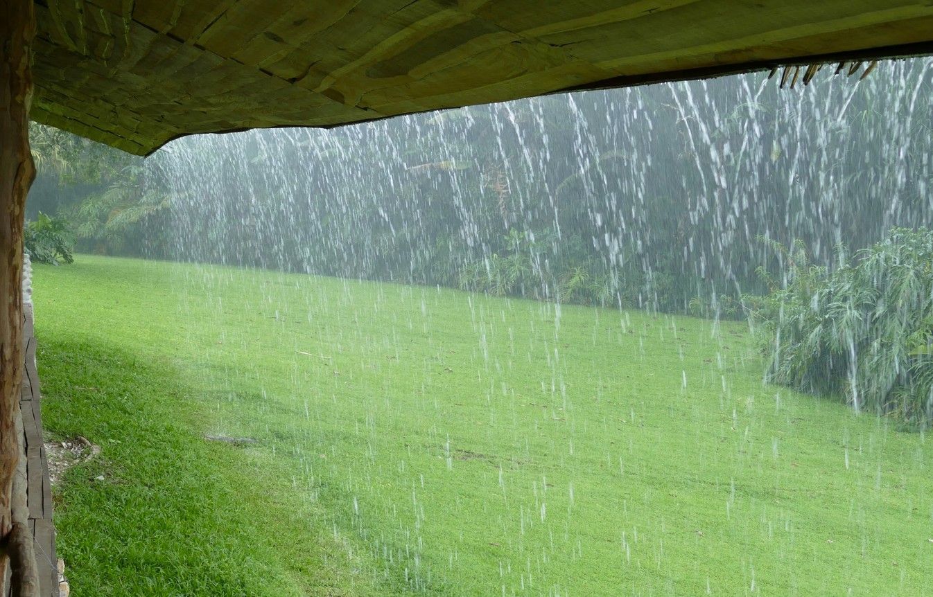 Regen valt op een groen veld, gezien vanaf onder een houten dak.