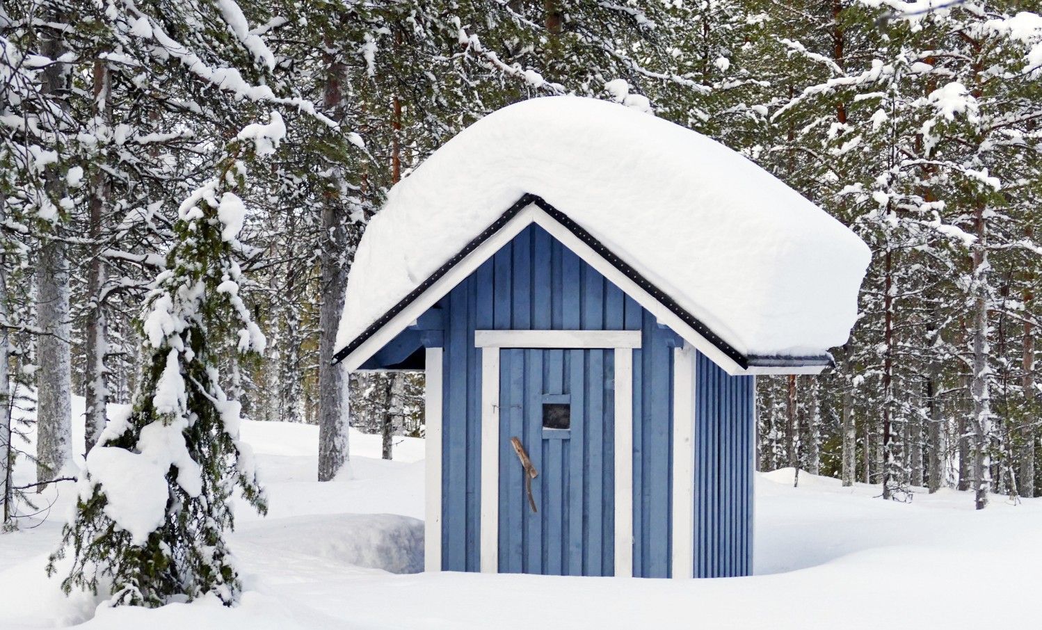 Een blauwe houten schuur in een besneeuwd bos, met een dik pak sneeuw op het dak.