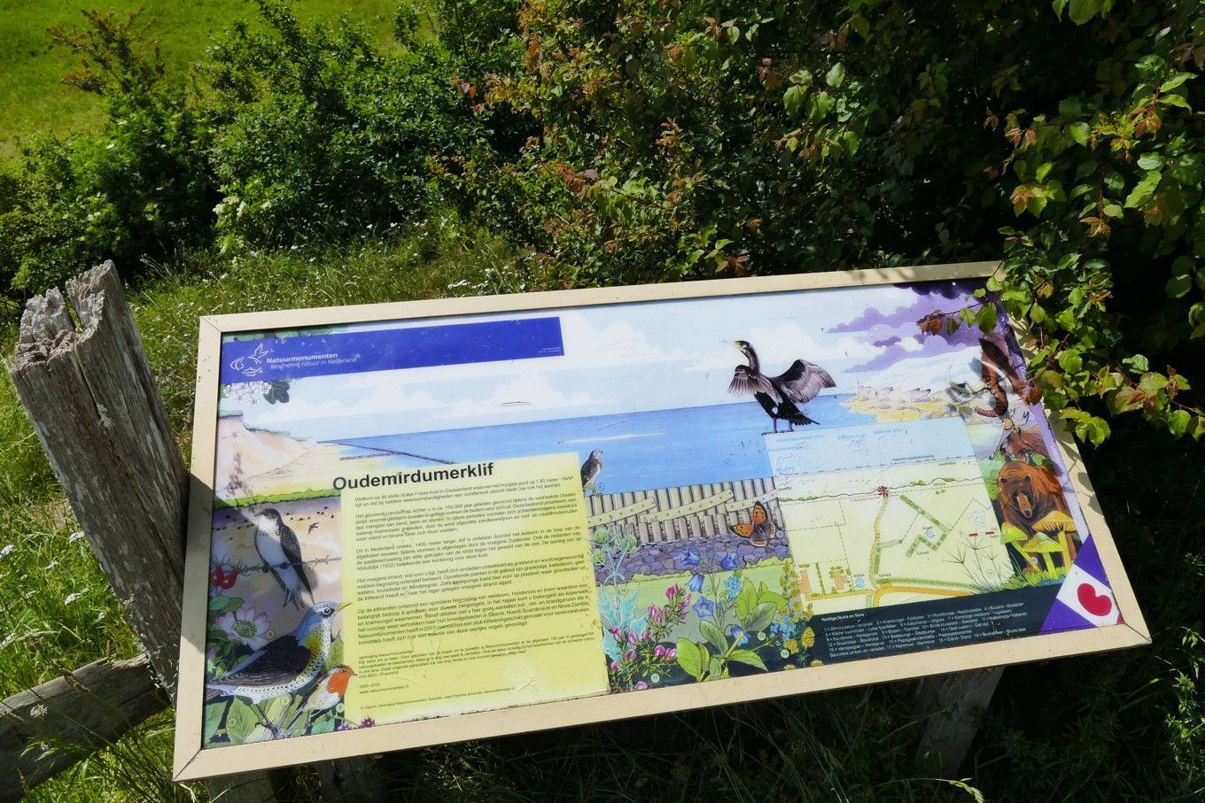 Informatiebord met een afbeelding van een kustlandschap, gemonteerd op een houten frame, in een grasveld met struiken.