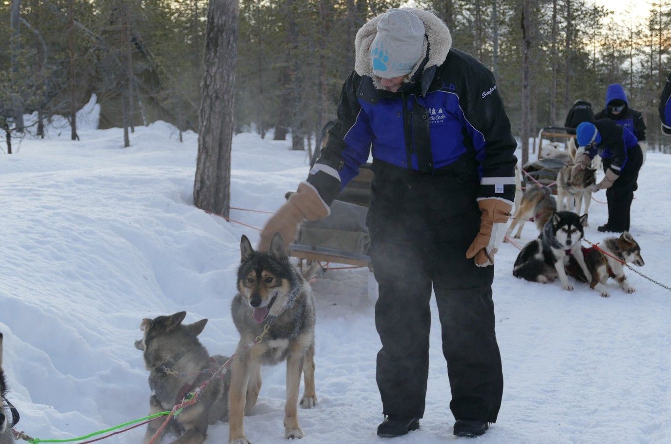 Een persoon aait een husky in een besneeuwd landschap; andere honden en mensen zijn zichtbaar.