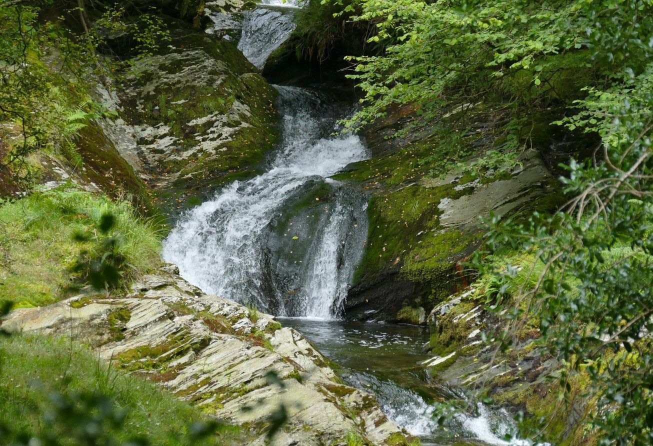 Een waterval die over met mos bedekte rotsen naar beneden stort  in een natuurlijke omgeving.