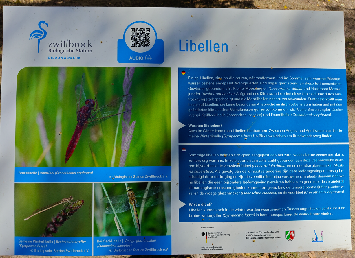 Poster met de titel