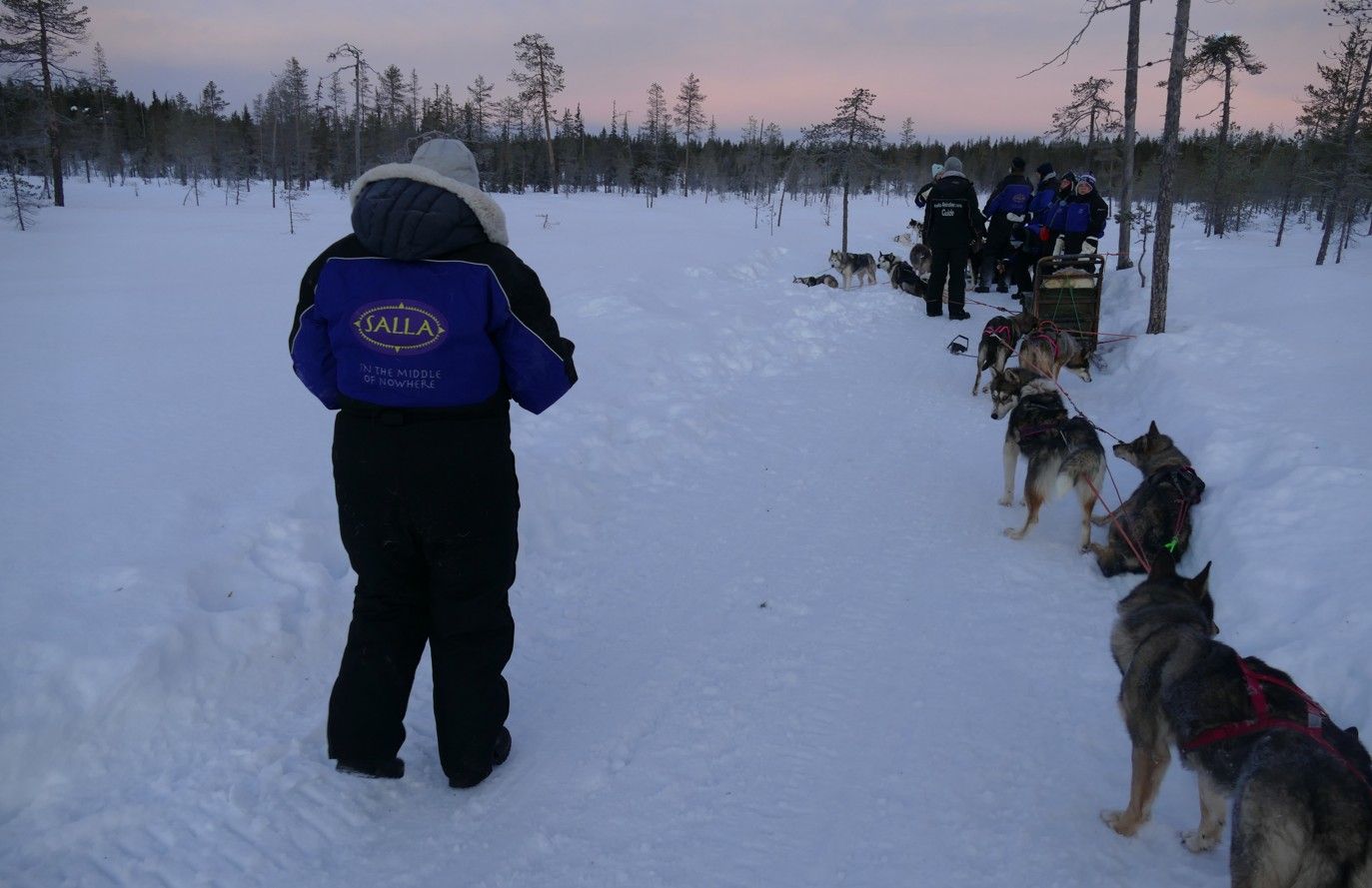 Persoon in skipak bij sledehonden op een besneeuwd pad. Bomen en een groep mensen op de achtergrond.