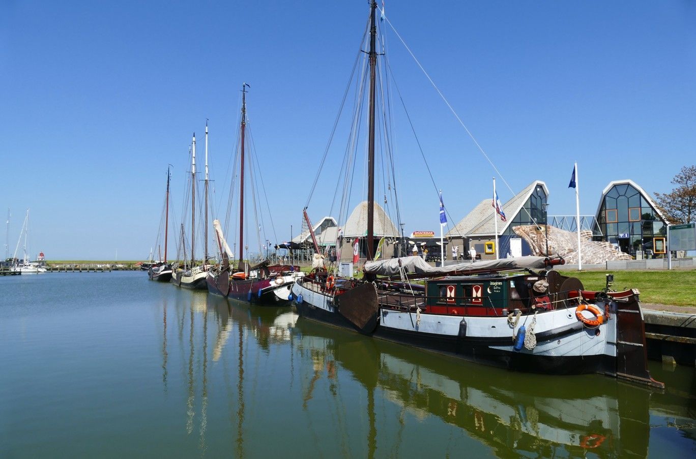 Zeilboten liggen aangemeerd in een haven op een zonnige dag met kalm water.