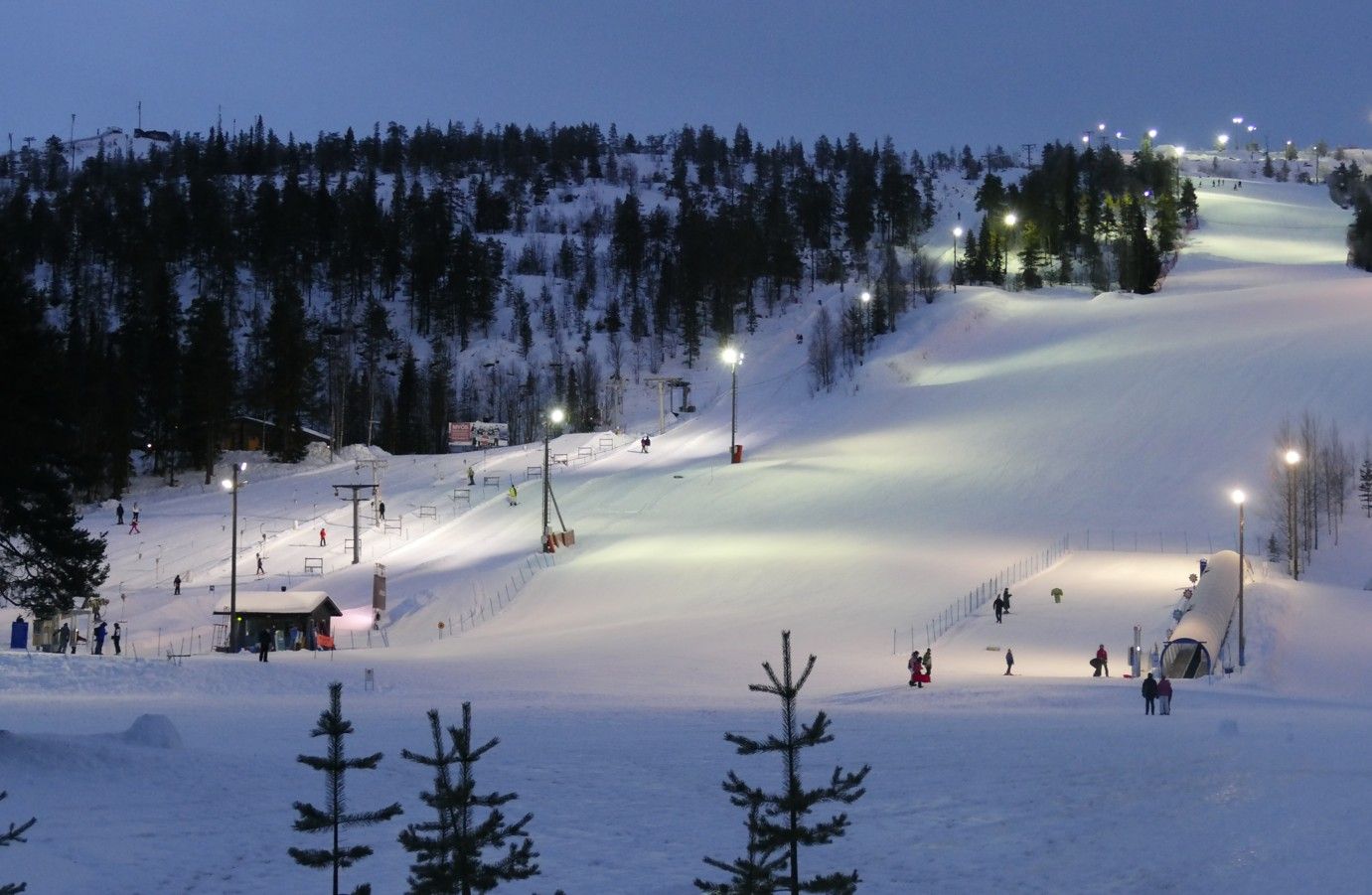 Besneeuwde skipiste 's nachts met skiërs, verlicht door schijnwerpers. Bos op de achtergrond.